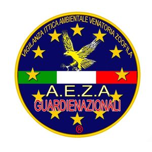 Palette Adesivi Borsoni A.E.Z.A.