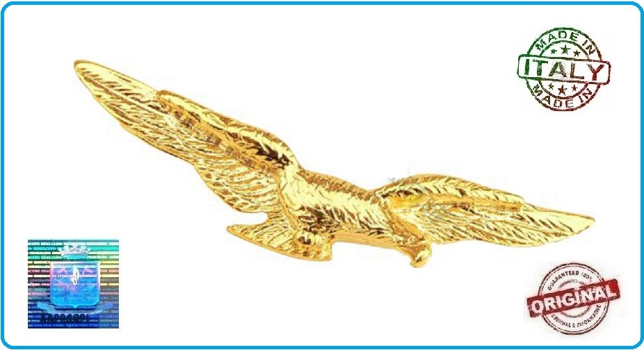 Brevetto Pilota Civile Pilot Wings Aeronautica