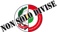 nonsolodivise