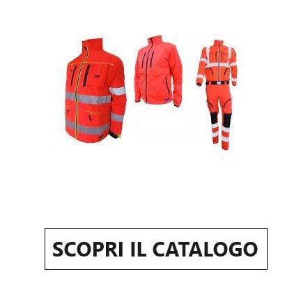 Divise 118