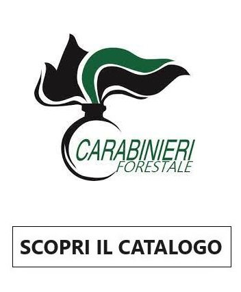 Berretti - Baschi