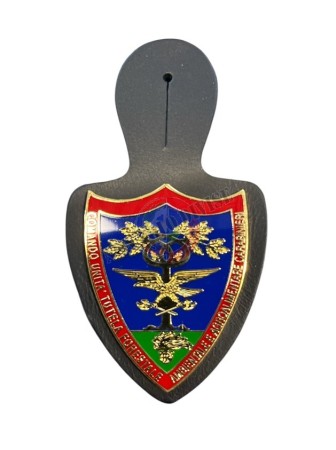 Pendif Carabinieri COMANDO UUNITA' TUTELA FORESTALE AMBIENTALE E AGROALIMENTARE CARABINIERI Art. T00725