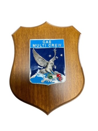Crest Quadretto Aeronautica Militare CEA MULTI CREW Ufficiale Giemme cm. 24 x 18 Art. AM0100P1059