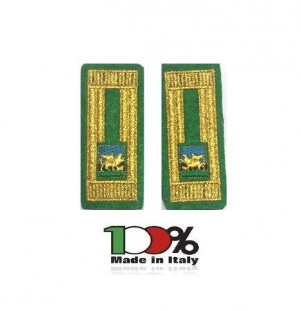 Alamari Ricamati con Velcro Fondo Verde Polizia Locale Veneto PICCOLO 2X4 Art. RAZA-3 