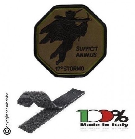Patch Toppa Ricamata 17° Stormo Verde Aeronautica Militare Italiana  Art. EU1182V