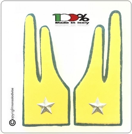 Mostrine Alamari Di Panno Nuove Fiamme Con Stella Gdf Guardia Di Finanza Da Cucire Sulla Giacca Art Nsd Gdf Materiale Panno Misure Cm 4 50 X11 00 Vendita In Coppia