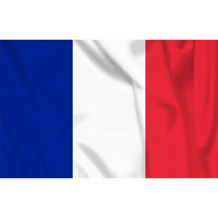Bandiera Francia 100x150 Eco Art. 447200-114