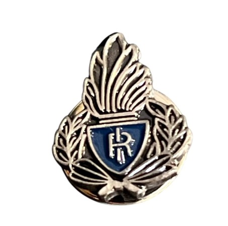 Pins Distintivo Polizia Penitenziaria Fiamma Prodotto Ufficiale Italiano Ascot Art. 030PIN-FI