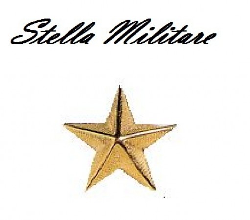 Stella Stellette Militari Oro a Vite 5 Punte cm 2.50 Carabinieri Esercito Marina  Art. S3