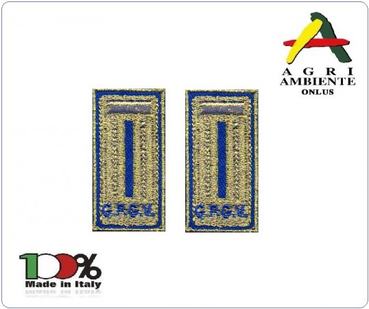 Alamari Mostrine Polo con Velcro cm 2.50x5.00 Fondo Oro Scritta Blu G.P.G.V. Agri Ambiente Art.NSD-AGRI-10