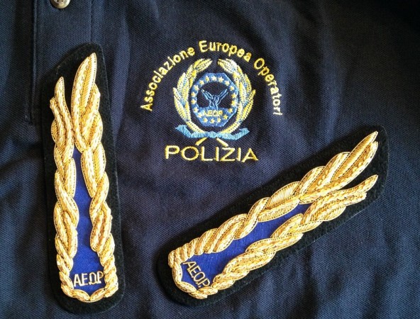 Alamari per Ufficiali A.E.O.P. Associazione Europea Operatori di Polizia Canottiglia cm 16 Ricamati a Mano  Art.NSD-09