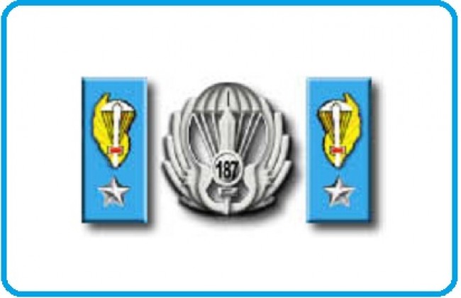 Mostrine Alamari Giacca o Camicia Esercito Italiano Paracadutisti Art.NSD-A-PARA