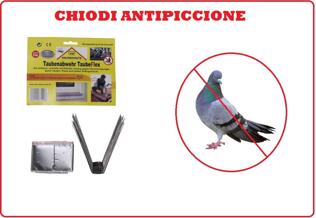 PICCIONI SAVE - colomba Flex - Chiodi Antipiccione - TAUBENABWEHR