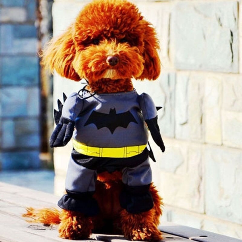 Vestito Completo + Mantello Gatto Cucciolo di Cane Cotone Batman Festa Art. BATMAN Questo costume per cane da Batman, pratico e divertente, è ideale da  usare durante la festa di carnevale o hallowenn