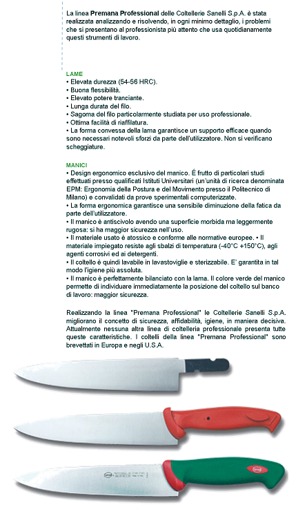 Sanelli Premana Professional Acciaino Ovale Acciaio Inossidabile 42.5x3.0x5.5 cm Verde/Rosso 