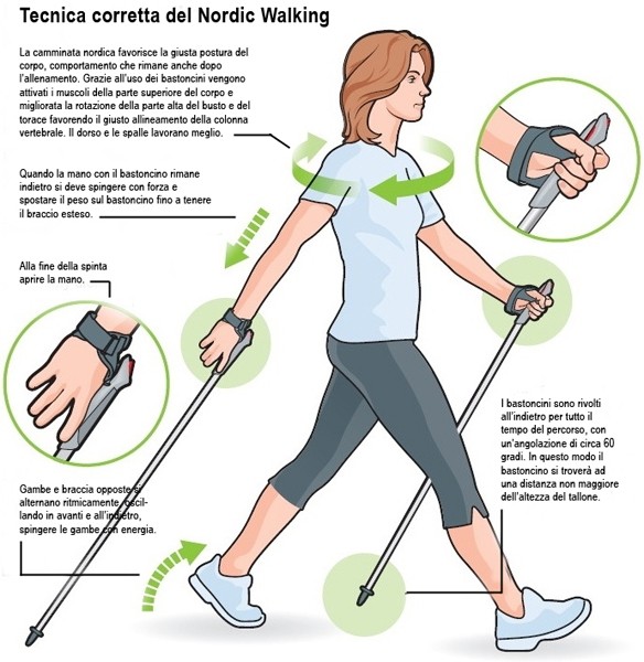 Bastoncini Nordic Walking Attrac – Regolabili 70-135 Cm, Anti-Shock, Impugnatura Sughero, Con App E Poster Workout Interattivo