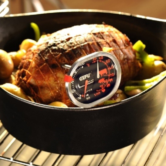 Termometro per arrosti e da forno, ideale per misurare la temperatura di  cottura della carne e del forno - PEARL