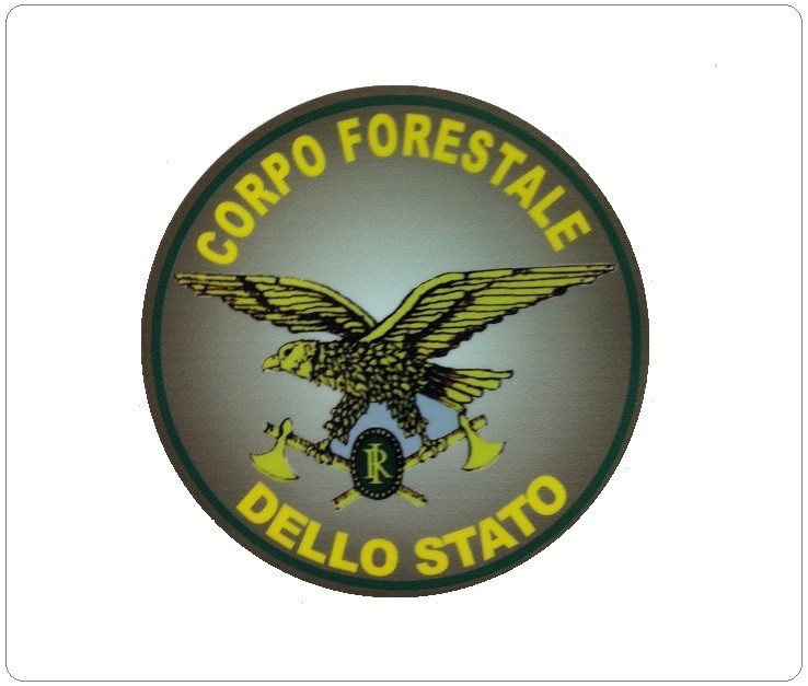 Vetrofania Corpo Forestale Dello Stato Art Cfs Adesivo Misure Cm 9 00 Prodotto Italiano Da Applicare All Interno Del Vetro Della Vostra Autovettura