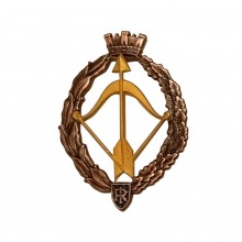 Distintivo Spilla da Camicia o Giacca Aeronautica Militare Caccia Oro Prodotto Ufficiale Art. AM0160PCACCIAOR