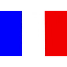 Bandiera Francia 100x150 Eco Art.Eco-Francia