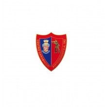 Pins Distintivo Carabinieri Perfezionamento al Tiro  Prodotto Ufficiale Italiano Art. C155P