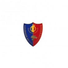 Pins Distintivo Carabinieri Antisofisticazione e Sanità NAS Prodotto Ufficiale Italiano Art. C167P