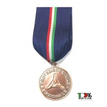 Medaglia Merito di III Grado del Dipartimento Protezione Civile Pubblica Benemerenza Art. PC-XXX 