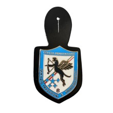 Battipetto Pendif Polizia Penitenziaria Servizio Traduzioni e Piantonamento FAV Art. PP013