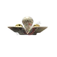 Spilla Brevetto Camicia Paracadutista Civile Prodotto Ufficiale Italiano 5x2.20 cm Art. T00380-NIKEL