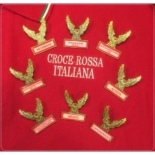 Spilla Distintivo di Specialità Aquila Croce Rossa Italiana CRI 118 Soccorritore Rosso Decidi il Ruolo Art.430-TUS
