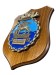 Crest COMFORSBARC Marina Militare Italiana Comando Flottiglia Sommergibili Prodotto Forze Sbarco  Ufficiale Giemme cm. 24 x 18 Art. MM3060