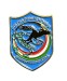 Pins Distintivo Polizia Penitenziaria Nucleo Operativo Mobile Prodotto Ufficiale Italiano Ascot Art. 030PIN-NOM