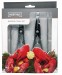 Set Crostacei + Pinza + Forchette Seafood Tools Set, Stainless Steel, Silver, 17 x 19 x 1.7 cm Vin Bouquet Art.FIH259