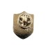 Pins Distintivo Polizia Penitenziaria Nucleo Investigativo Centrale Prodotto Ufficiale Italiano Ascot Art. 030PIN-NIC