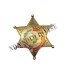 Placca Metallo Distintivo SHERIFF Sceriffo Stella Oro Denix Art. 113-L