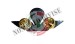 Spilla Brevetto Camicia Paracadutista Civile Prodotto Ufficiale Italiano 5x2.20 cm Art. T00380-NIKEL