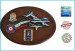 Crest Araldico Aerei F-86 - G91 PAN - MB 339 PAN Frecce Tricolori Aeronautica Militare cm 22,5 X 17,5 Art.AM0307