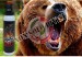 Spray al Peperoncino Difensivo Contro gli Orsi GRIZZLY - 300 ml Lupi Cani EXTREME POWER Art. SJ016