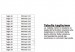 Anfibio Scarponcino Stivaletto Nero S.W.A.T. Pelle + Membrana Thinsulate e Cordura + Suola Cucita Novità Cerniera Laterale  FOSTEX Art. 231172