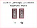 Coppia di Alamari Carabinieri Canottiglia cm 4x10 Sottoufficiali Art.NSD-TAS