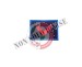 Gradi Velcro per Polo e Tuta OP GPG GPGIPS Sicurezza Polizia Locale  Agente Scelto New Art. PLV-G1