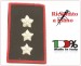 Gradi Tubolari Carabinieri Ricamati a Mano Canuttiglia New Tenente Comandante Art.CC-CAN-16