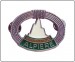 Distintivo in Metallo 3D Alpiere Guardia di Finanza Argento  Scuola Alpina della G. di F. Art. GDF-AA