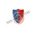 Spilla Distintivo Carabinieri Squadrone Carabinieri Eliportato Cacciatori Prodotto Ufficiale Italiano Art.C158