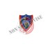 Spilla Distintivo Carabinieri Subacque Prodotto Ufficiale Italiano Art.C173