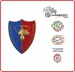 Pins Distintivo Carabinieri Addestramento Alpino Prodotto Ufficiale Italiano Art. C170P