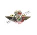 Spilla Brevetto Camicia Paracadutista Civile Prodotto Ufficiale Italiano 5x2.20 cm Art. T00380-NIKEL