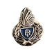 Pins Distintivo Polizia Penitenziaria Fiamma Prodotto Ufficiale Italiano Ascot Art. 030PIN-FI